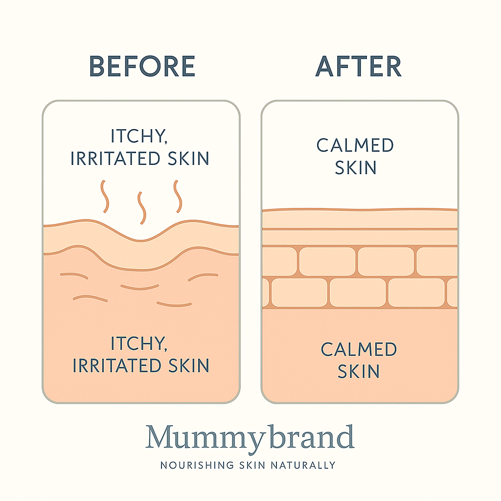 Barrier+ Intensive Kit (Formerly Hypersensitive Skin Kit)